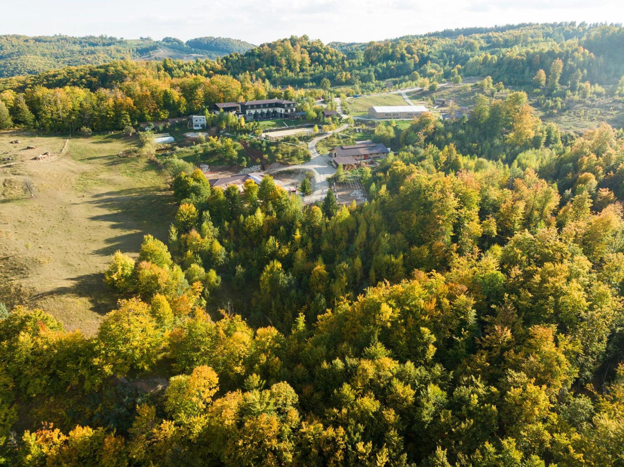 Potcoava Mountain Hideaway Hotell Runcu  Exteriör bild