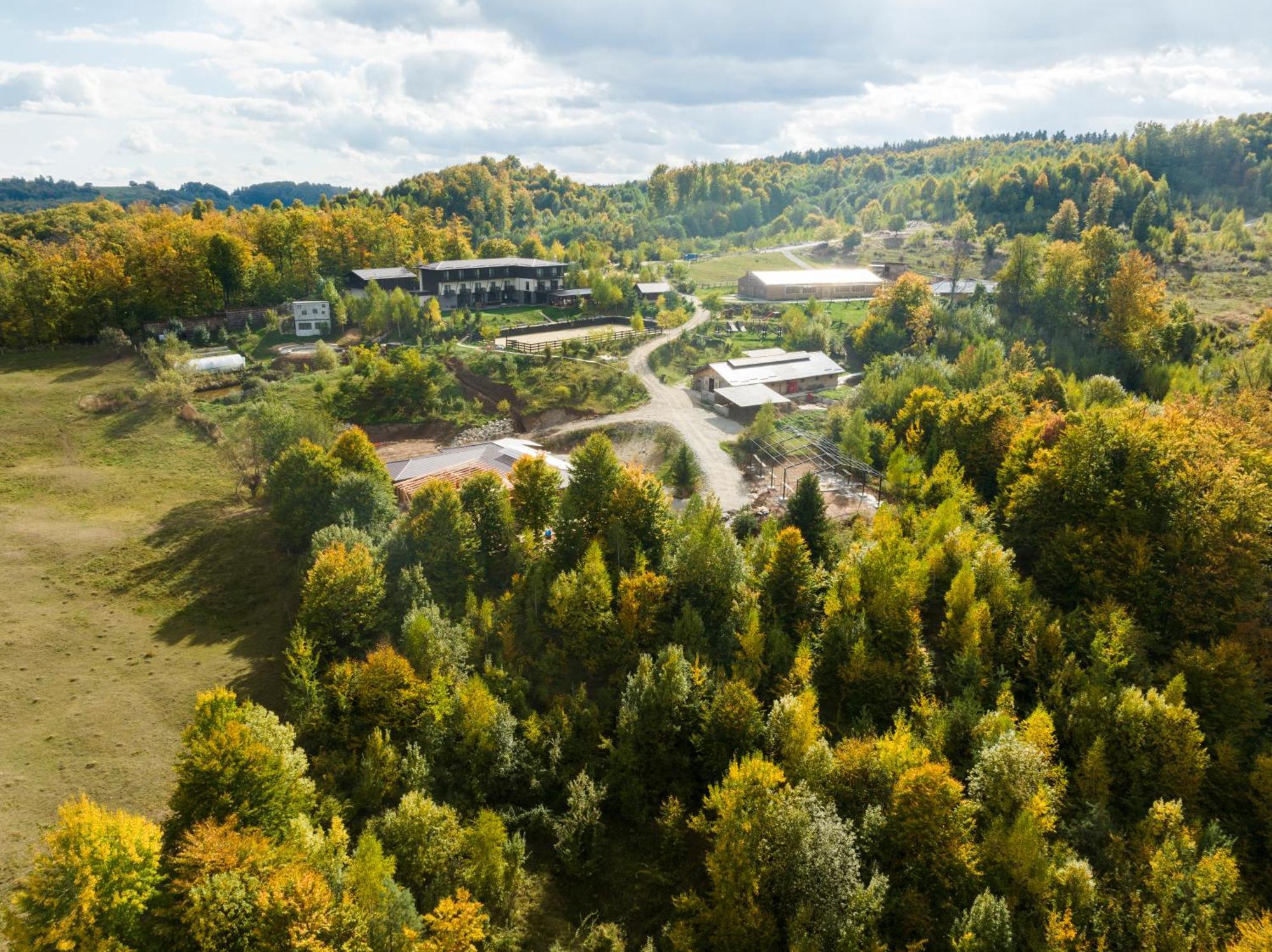 Potcoava Mountain Hideaway Hotell Runcu  Exteriör bild