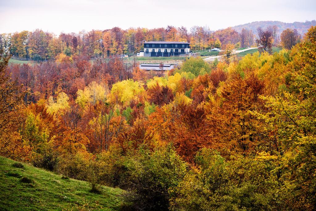 Potcoava Mountain Hideaway Hotell Runcu  Exteriör bild