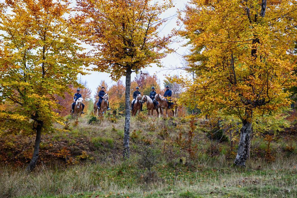 Potcoava Mountain Hideaway Hotell Runcu  Exteriör bild