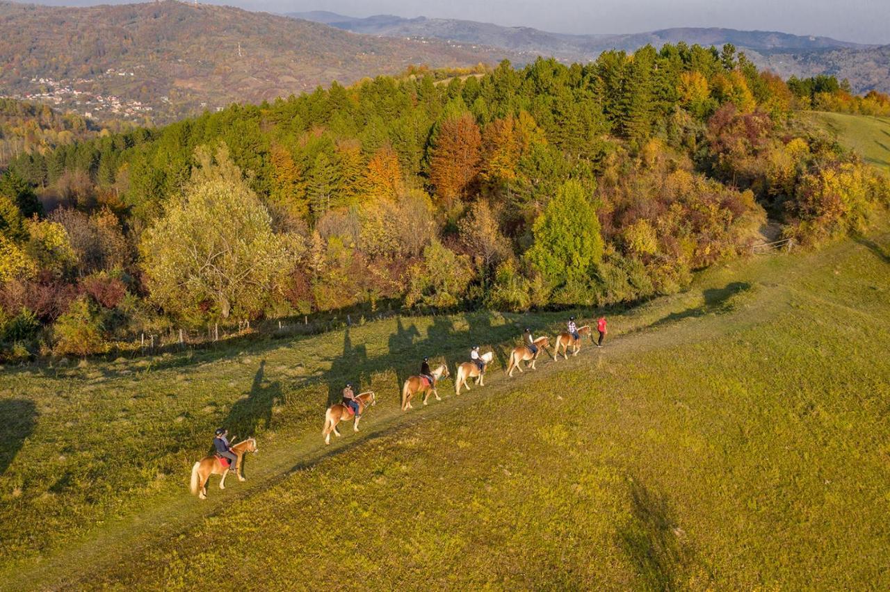 Potcoava Mountain Hideaway Hotell Runcu  Exteriör bild